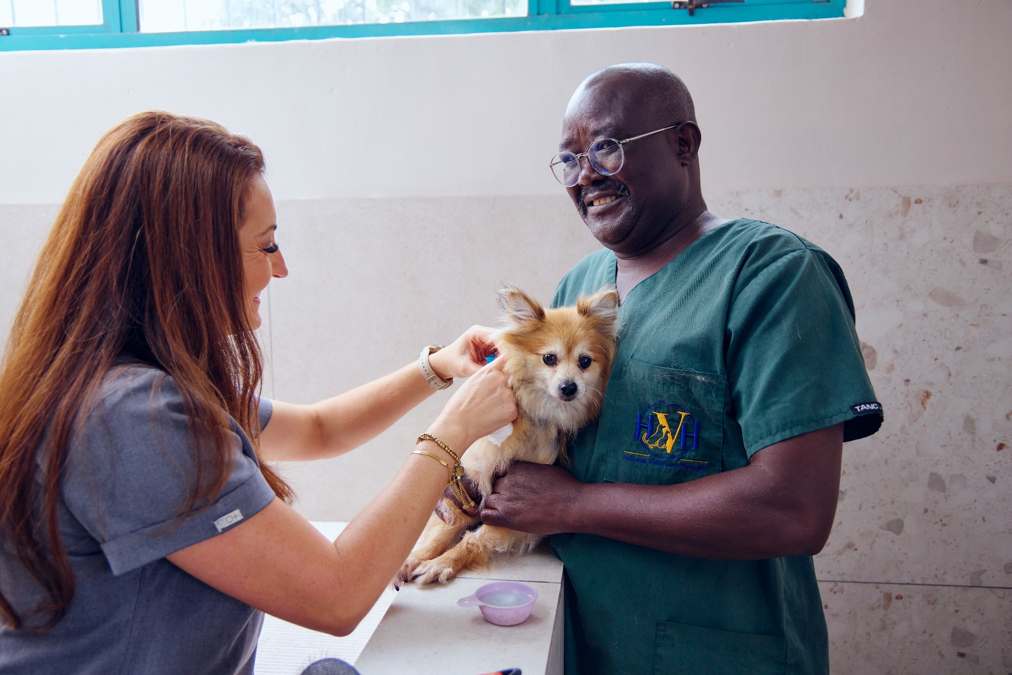 Veterinary care in practice Veterinary care in practice