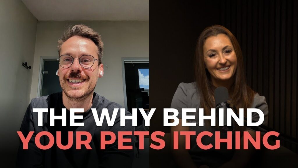 Why Is My Dog So Itchy Even When I Cannot See Fleas?