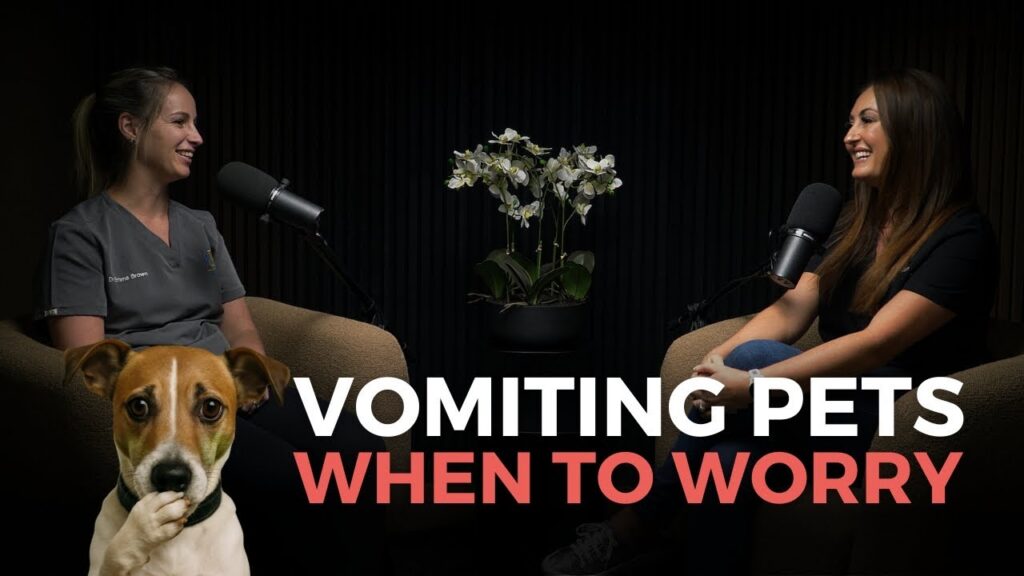 Why Is My Dog Vomiting, and When Is It an Emergency?